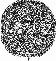 ГОСТ 5639-82 Стали и сплавы. Методы выявления и определения величины зерна (с Изменением N 1)