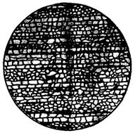 ГОСТ 5640-68 Сталь. Металлографический метод оценки микроструктуры листов и ленты