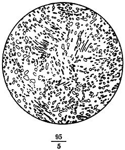 ГОСТ 8233-56 Сталь. Эталоны микроструктуры
