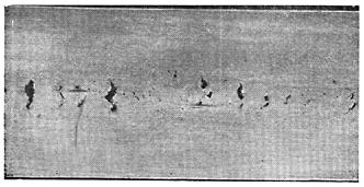 ГОСТ 10243-75 (СТ СЭВ 2837-81) Сталь. Методы испытаний и оценки макроструктуры (с Изменением N 1)