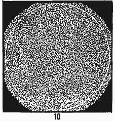 ГОСТ 5639-82 Стали и сплавы. Методы выявления и определения величины зерна (с Изменением N 1)