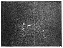 ГОСТ 10243-75 (СТ СЭВ 2837-81) Сталь. Методы испытаний и оценки макроструктуры (с Изменением N 1)