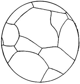 ГОСТ 21073.1-75 Металлы цветные. Определение величины зерна методом сравнения со шкалой микроструктур (с Изменением N 1)