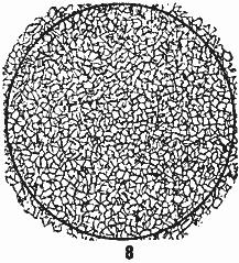 ГОСТ 5639-82 Стали и сплавы. Методы выявления и определения величины зерна (с Изменением N 1)