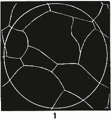 ГОСТ 5639-82 Стали и сплавы. Методы выявления и определения величины зерна (с Изменением N 1)