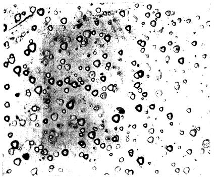 ГОСТ 16153-80 Германий монокристаллический. Технические условия (с Изменениями N 1, 2, 3, 4)