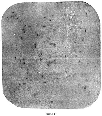 ГОСТ 10243-75 (СТ СЭВ 2837-81) Сталь. Методы испытаний и оценки макроструктуры (с Изменением N 1)