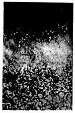 ГОСТ 1763-68 (СТ СЭВ 477-77, ИСО 3887-77) Сталь. Методы определения глубины обезуглероженного слоя (с Изменениями N 2, 3, 4, с Поправкой)