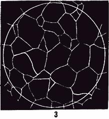 ГОСТ 5639-82 Стали и сплавы. Методы выявления и определения величины зерна (с Изменением N 1)