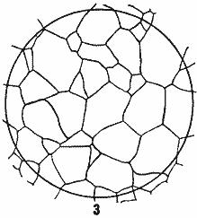 ГОСТ 5639-82 Стали и сплавы. Методы выявления и определения величины зерна (с Изменением N 1)