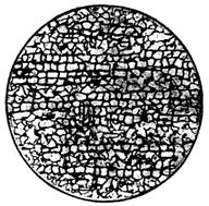 ГОСТ 5640-68 Сталь. Металлографический метод оценки микроструктуры листов и ленты