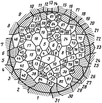 ГОСТ 5639-82 Стали и сплавы. Методы выявления и определения величины зерна (с Изменением N 1)