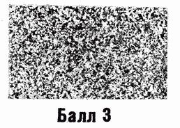 ГОСТ 22838-77 Сплавы жаропрочные. Методы контроля и оценки макроструктуры (с Изменением N 1)