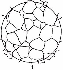 ГОСТ 5639-82 Стали и сплавы. Методы выявления и определения величины зерна (с Изменением N 1)