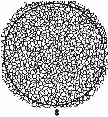ГОСТ 5639-82 Стали и сплавы. Методы выявления и определения величины зерна (с Изменением N 1)