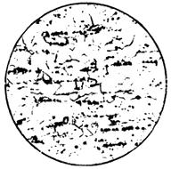 ГОСТ 5640-68 Сталь. Металлографический метод оценки микроструктуры листов и ленты