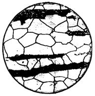 ГОСТ 5640-68 Сталь. Металлографический метод оценки микроструктуры листов и ленты