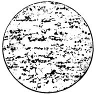 ГОСТ 5640-68 Сталь. Металлографический метод оценки микроструктуры листов и ленты