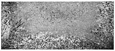 ГОСТ 10243-75 (СТ СЭВ 2837-81) Сталь. Методы испытаний и оценки макроструктуры (с Изменением N 1)
