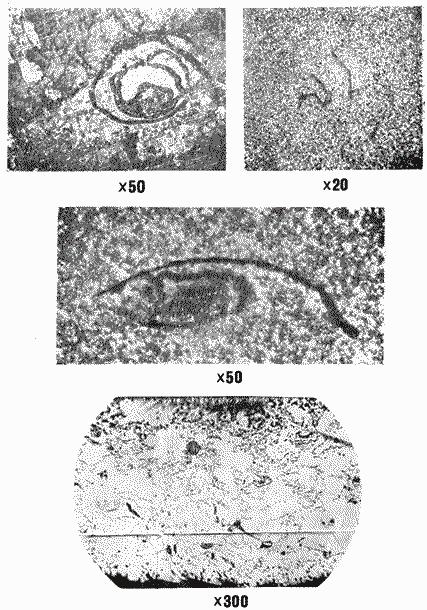 ГОСТ 22838-77 Сплавы жаропрочные. Методы контроля и оценки макроструктуры (с Изменением N 1)