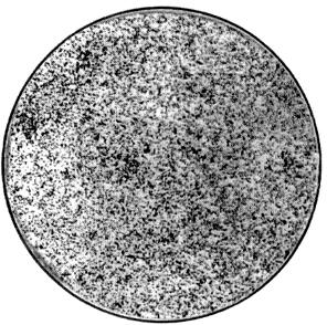 ГОСТ 5468-88 Проволока игольная. Технические условия (с Изменениями N 1, 2, с Поправкой)