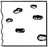 ГОСТ 21014-88 Прокат черных металлов. Термины и определения дефектов поверхности