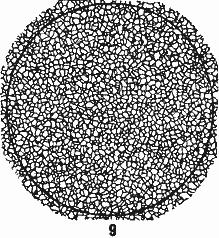 ГОСТ 5639-82 Стали и сплавы. Методы выявления и определения величины зерна (с Изменением N 1)